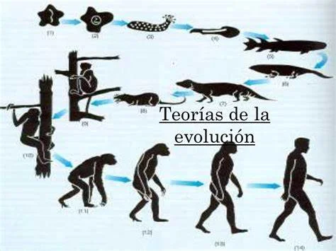 TEORÍA DE LA EVOLUCIÓN