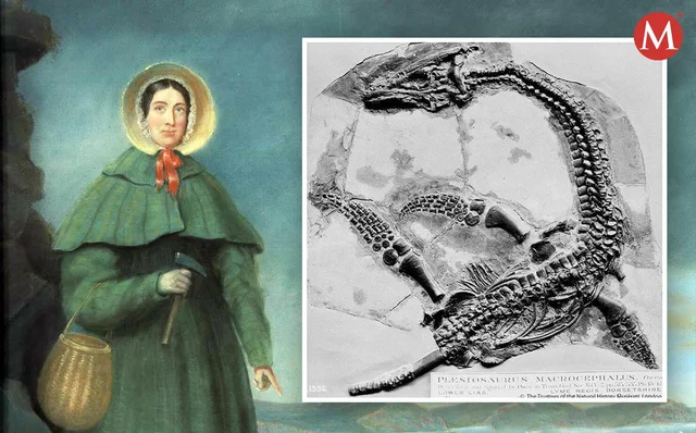 BITARTEAN, EMAKUMEAK MUNDUAN » Mary Anning-ek plesiosauro baten hezurdura osoa aurkitu zuen.