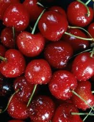 Gut Cherries