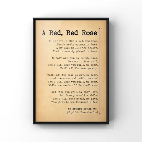 Robert  Burns "Red Rose"