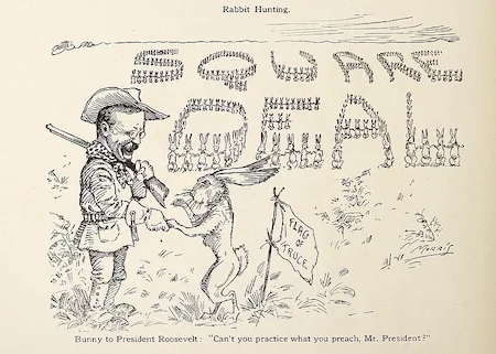 Teddy Roosevelt's Square Deal