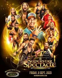 Why is the WWE important?