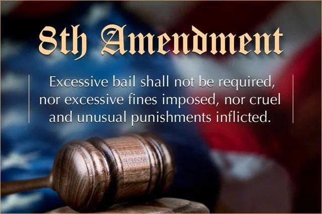 The Eighth Amendment