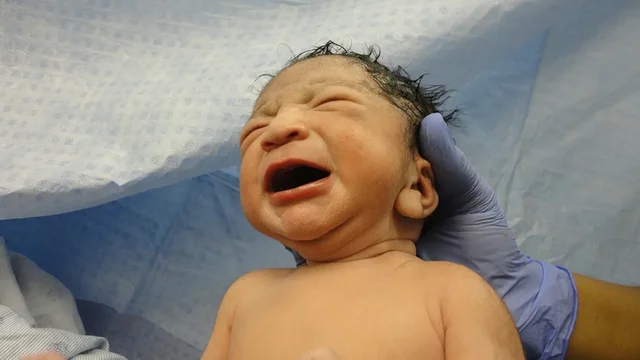 Maksymilian Brother was born