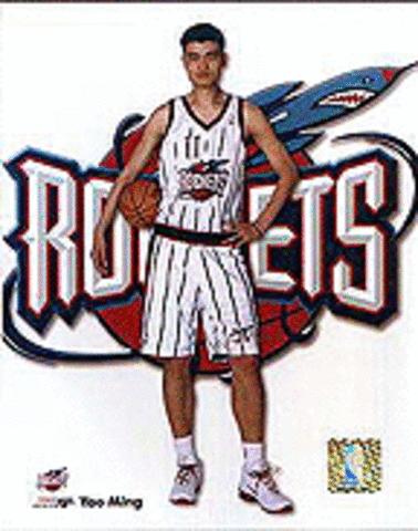 Chose Yao: A Life in Two Worlds as my reference book