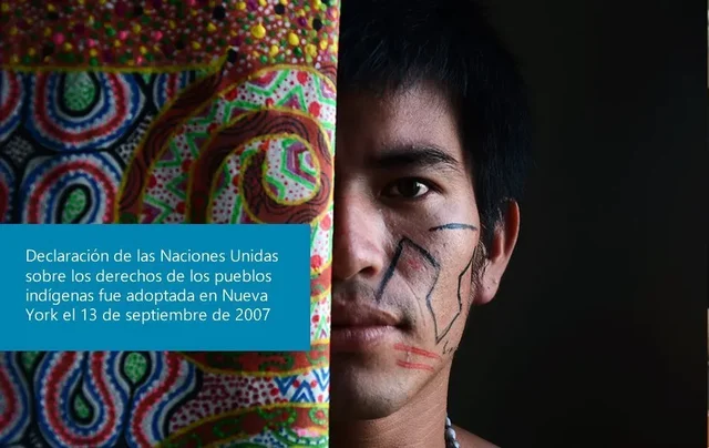 Declaración de los derechos de los pueblos indígenas  de la ONU