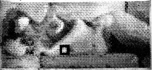 Sistema de Animación BEFLIX