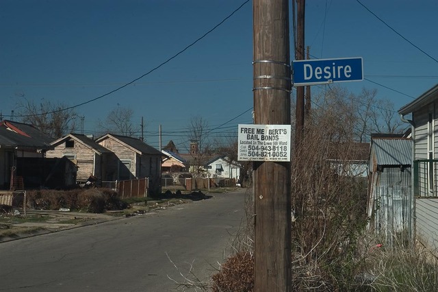 First Chapter Friday- Danny Wuerffel