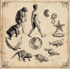 El orígen de las especies