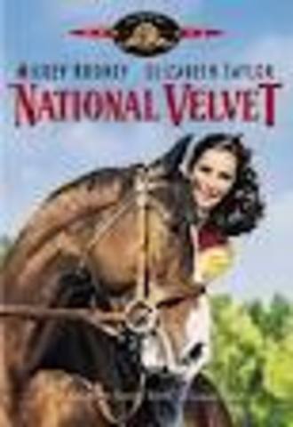 Wins best seller for National Velvet