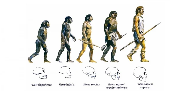 La teoría de la evolución
