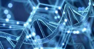 La genética