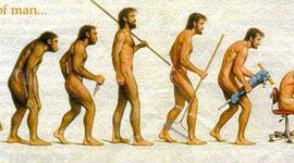 Timeline: Connor's Developmental Psychology Timeline