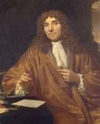 Anton Van Leeuwenhoek