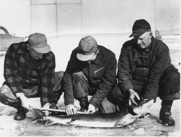 First spearing harvest assessment