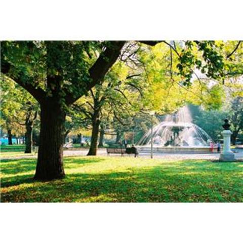 park day, and fall social