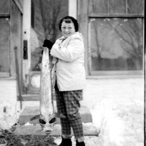 1st year of mandatory harvest registration