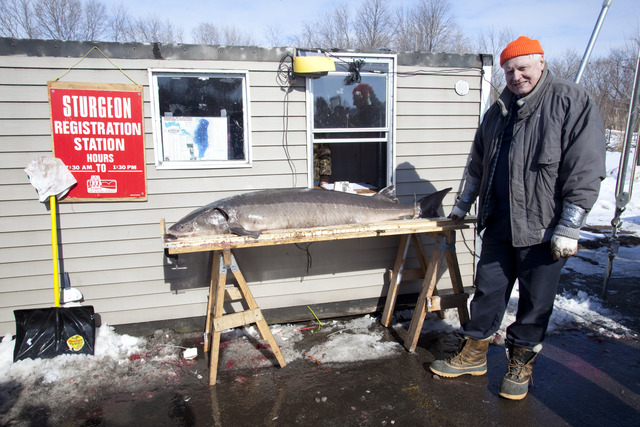 New harvest cap system debuts