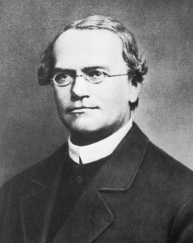 Mendel