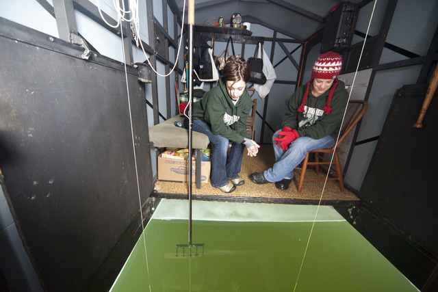 Record number of spearers set for 2012