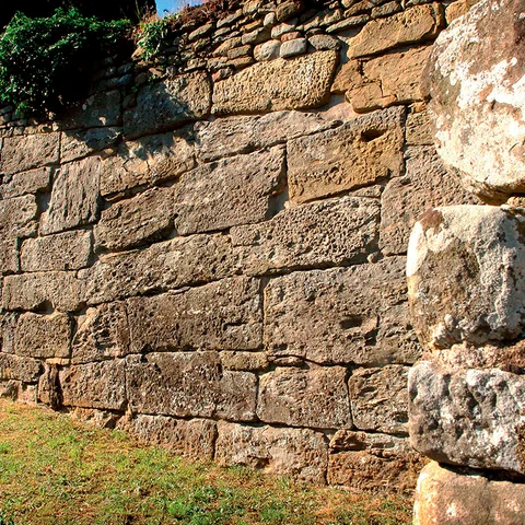Fondazione di VIPSL | Fiesole
