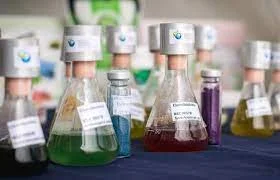 Sustitución de los colorantes naturales por los químicos.