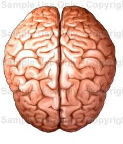 Mark finds out his dad has cancer in the brain too.