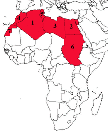 Allies land in North Africa