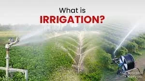 Irrigation