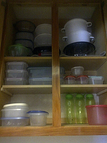 Being Ms. Stay-at-home-busy-body