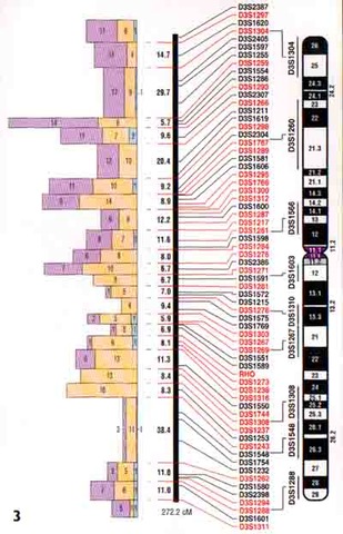 The Human Genome project finishes a map of the human body
