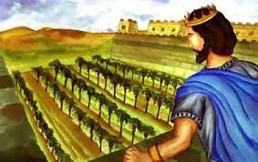 Naboth's vineyard