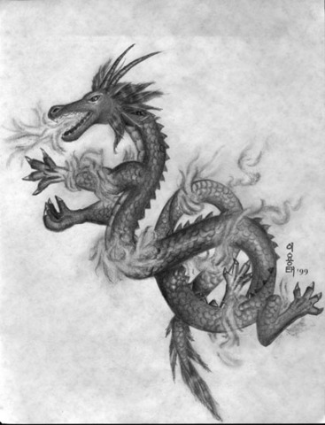 Year of the Dragon