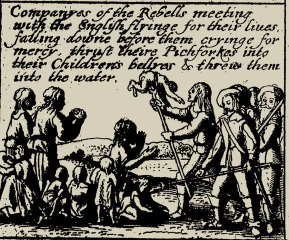 The Irish Rebellion