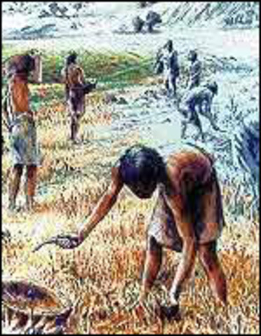 Siglo XVII: Sociedad Agrícola