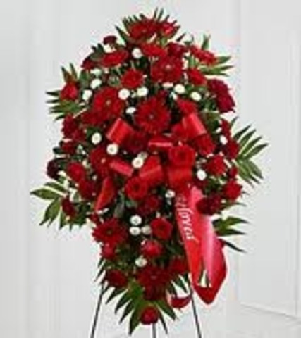 A servant, John's brother and Abigail's mother all died that autumn from diseases