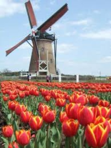 windmill