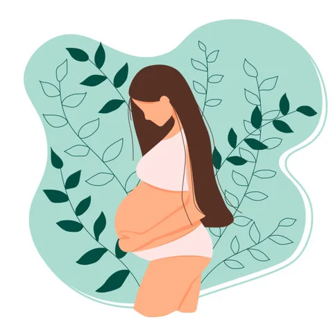 3rd Trimester
