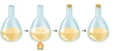 John Needham Experiment