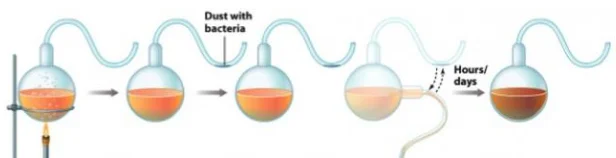 Pasteur's Experiment