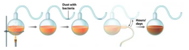 Pasteur puts spontaneous generation to rest