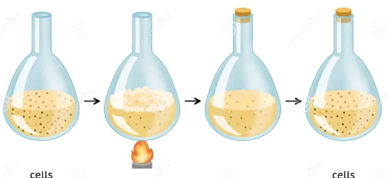 Needham's experiment