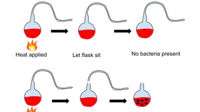Pasteur's experiment