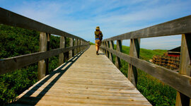 Timeline: Master's Tale of Trials & Successes