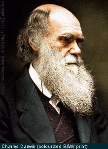 3º Darwin y otros empiezan a intuir la selecion natural