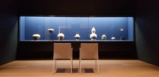 The Collector: First Contact
