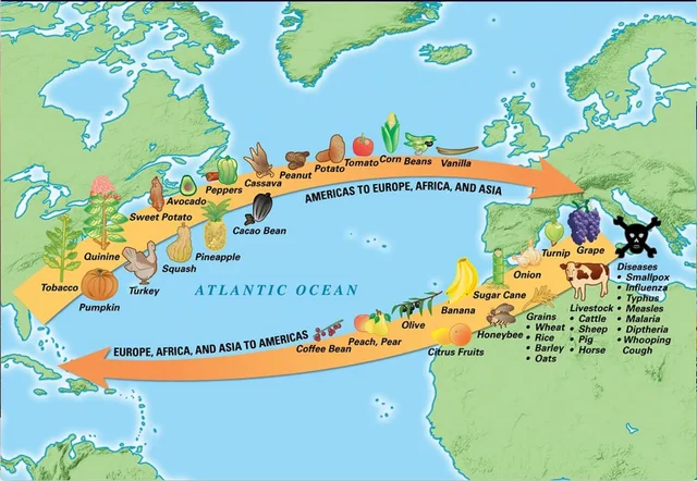 The Epidemic of the 19th Century