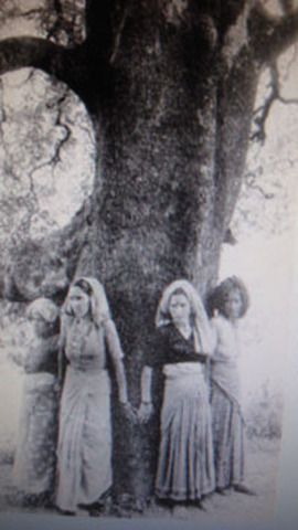 Birth of the Tree Huggers
