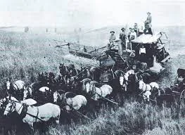 Producción Agrícola
