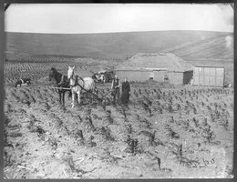 Homestead act